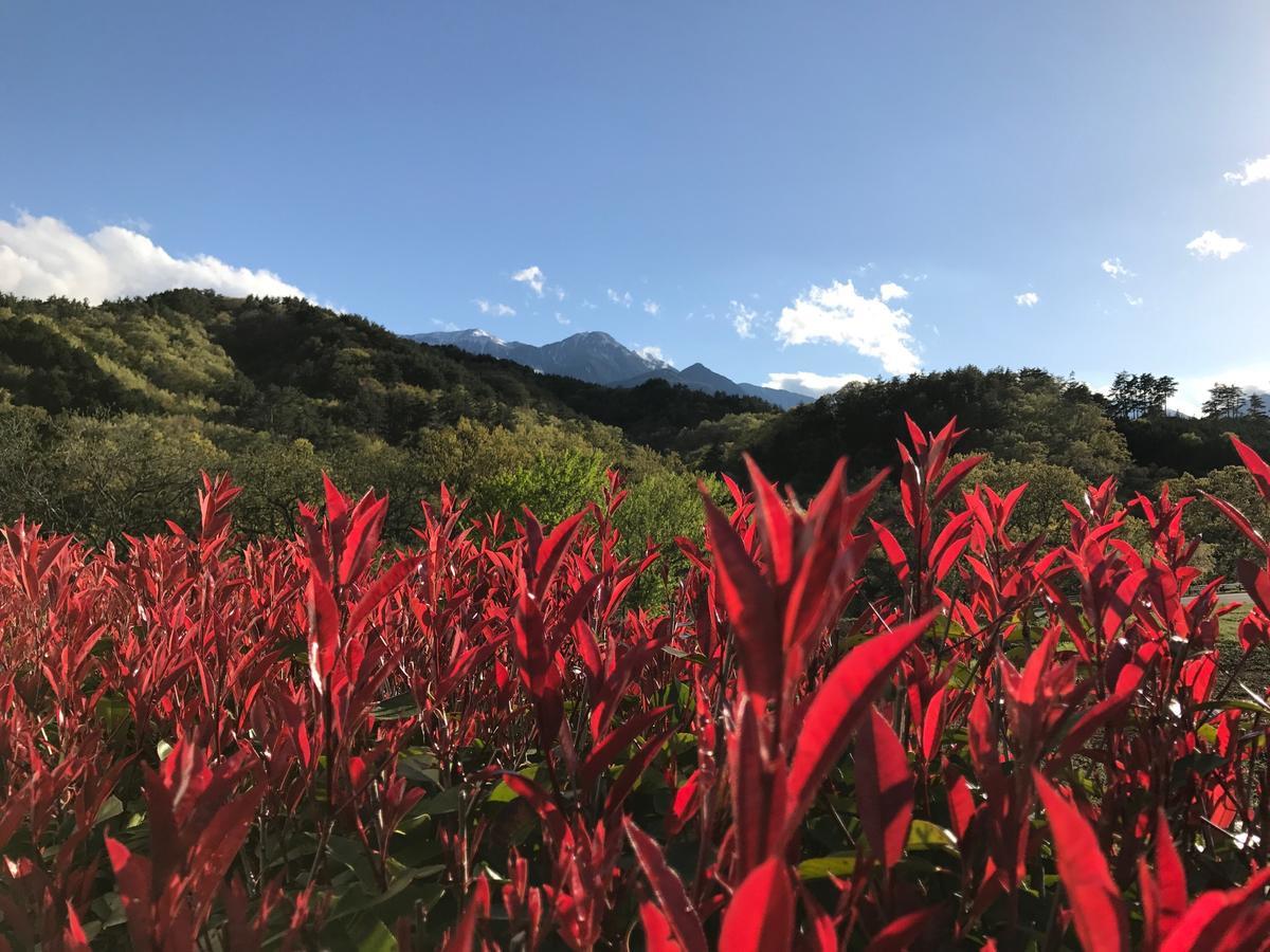 Alps Lodge & Spa Hokuto Kültér fotó